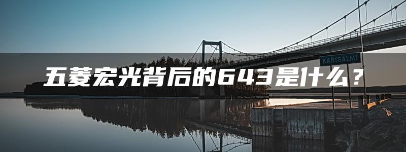 五菱宏光背后的643是什么？