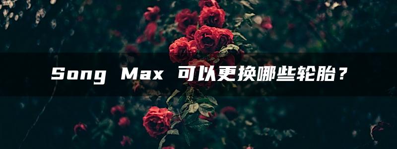 Song Max 可以更换哪些轮胎？