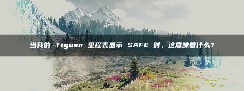 当我的 Tiguan 里程表显示 SAFE 时，这意味着什么？