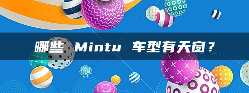 哪些 Mintu 车型有天窗？