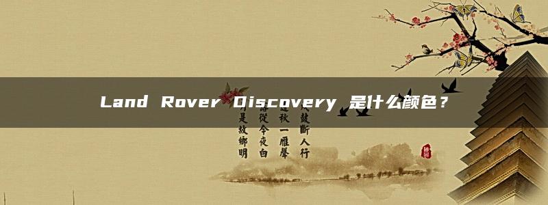 Land Rover Discovery 是什么颜色？