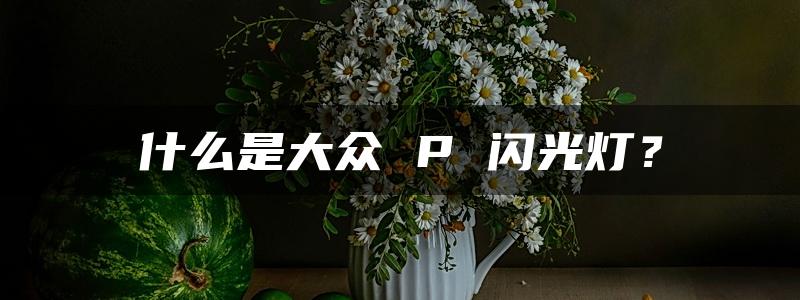 什么是大众 P 闪光灯？