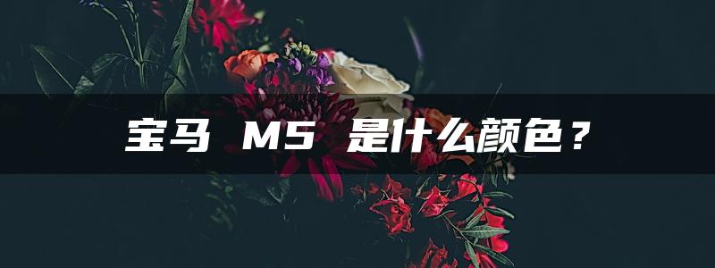 宝马 M5 是什么颜色？