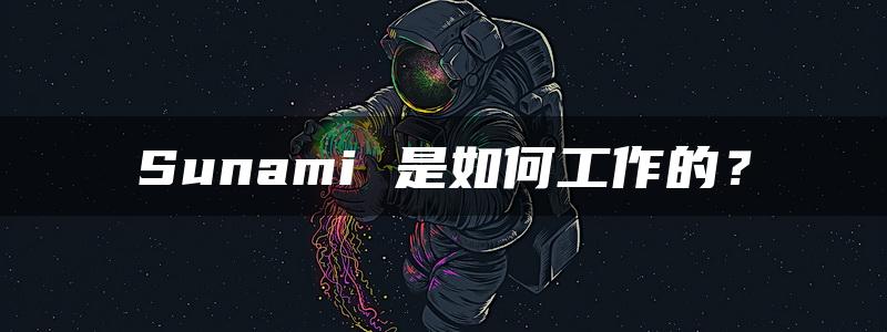 Sunami 是如何工作的？