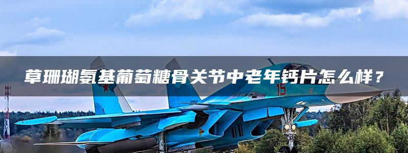 草珊瑚氨基葡萄糖骨关节中老年钙片怎么样？