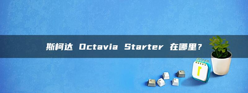 斯柯达 Octavia Starter 在哪里？