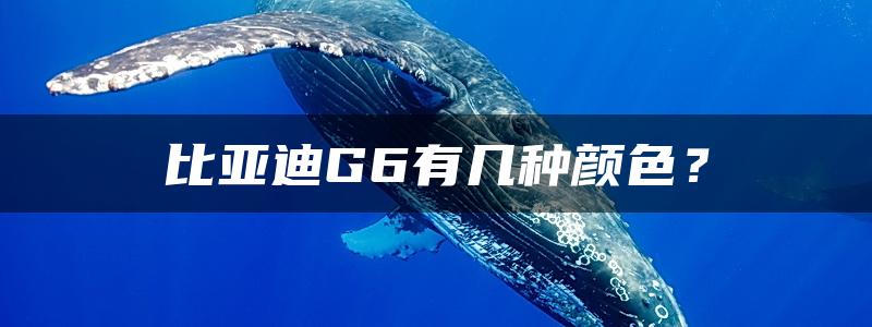 比亚迪G6有几种颜色？