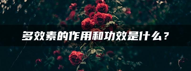 多效素的作用和功效是什么？