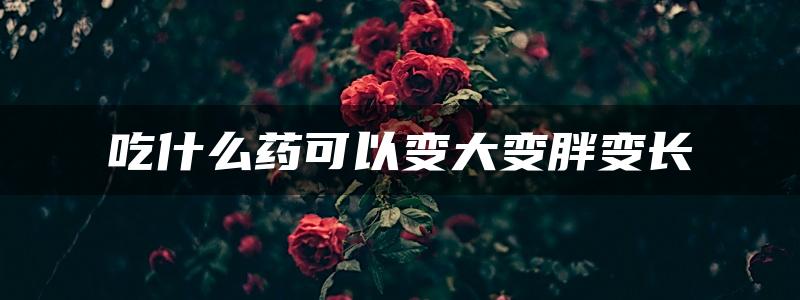 吃什么药可以变大变胖变长