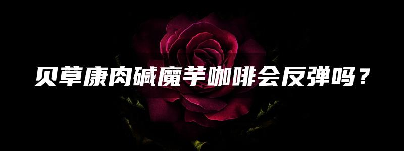 贝草康肉碱魔芋咖啡会反弹吗？