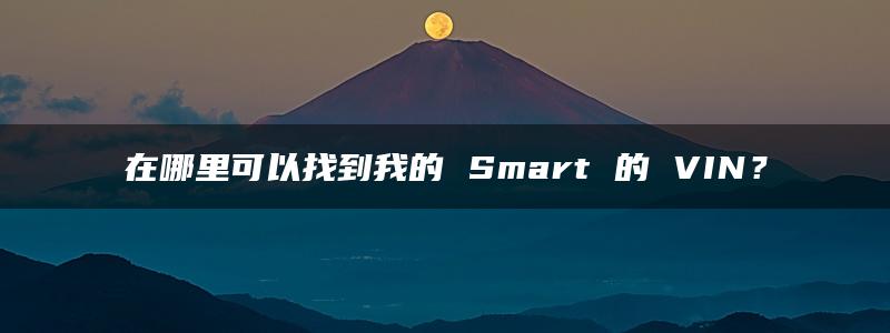 在哪里可以找到我的 Smart 的 VIN？