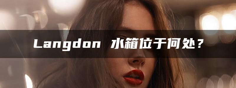 Langdon 水箱位于何处？