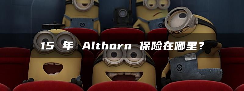 15 年 Althorn 保险在哪里？