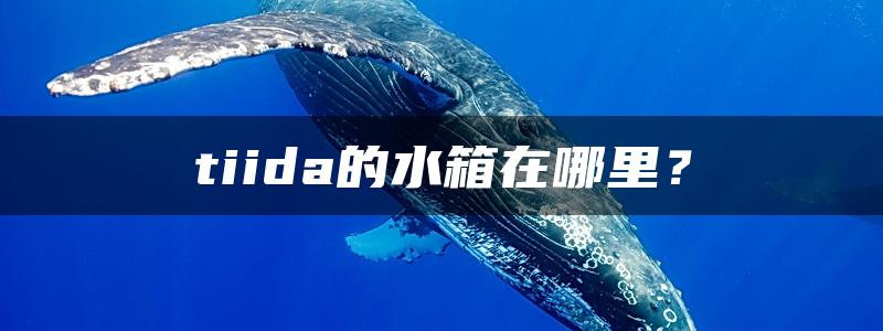 tiida的水箱在哪里？