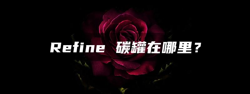 Refine 碳罐在哪里？