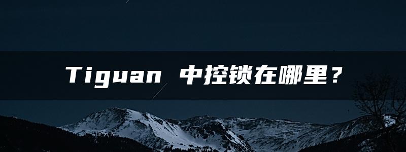 Tiguan 中控锁在哪里？