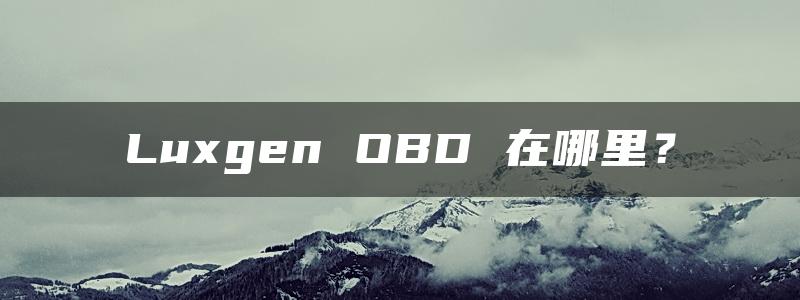 Luxgen OBD 在哪里？