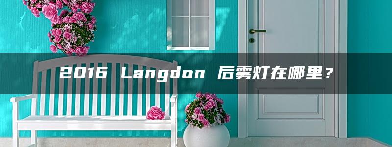 2016 Langdon 后雾灯在哪里？