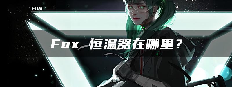 Fox 恒温器在哪里？