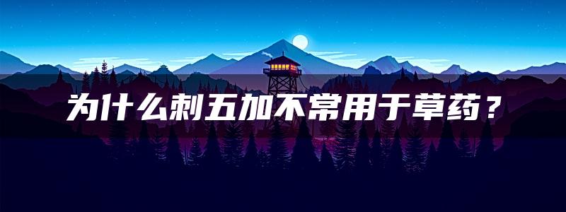 为什么刺五加不常用于草药？