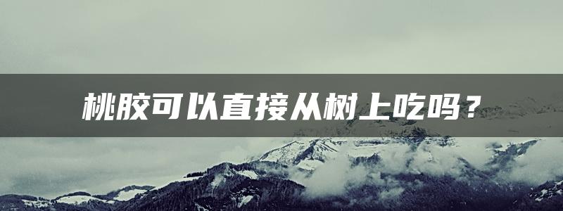 桃胶可以直接从树上吃吗？