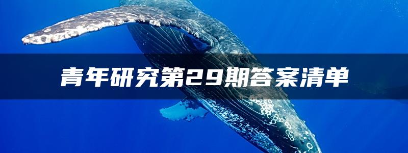 青年研究第29期答案清单