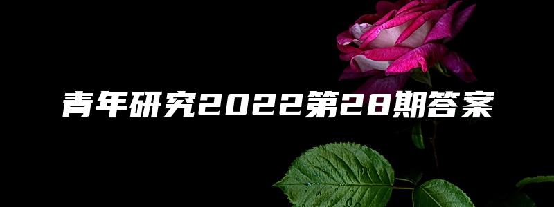 青年研究2022第28期答案