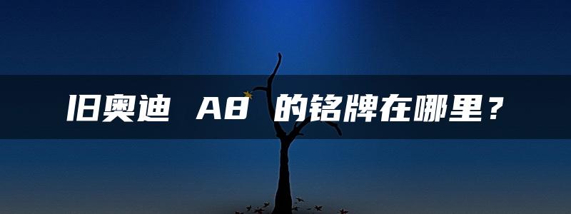 旧奥迪 A8 的铭牌在哪里？