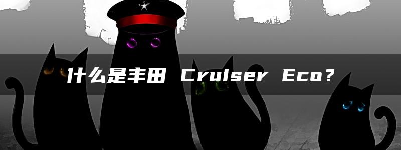 什么是丰田 Cruiser Eco？