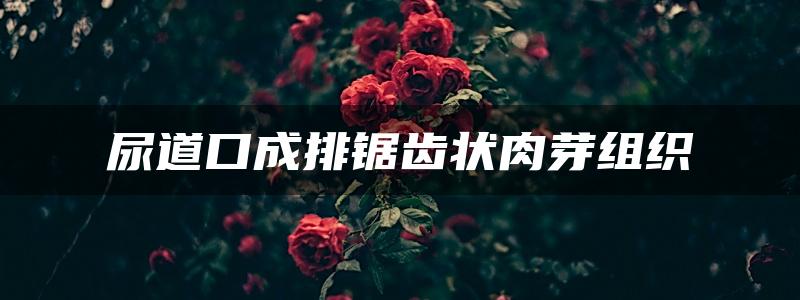 尿道口成排锯齿状肉芽组织