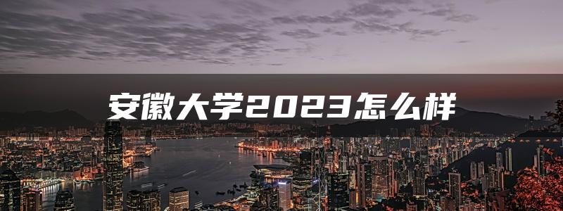 安徽大学2023怎么样