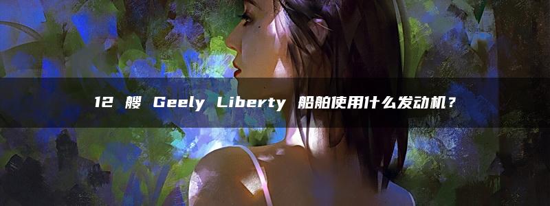 12 艘 Geely Liberty 船舶使用什么发动机？