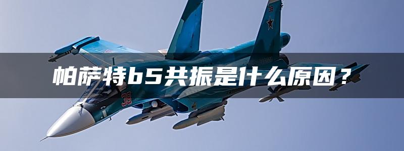 帕萨特b5共振是什么原因？