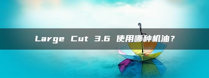 Large Cut 3.6 使用哪种机油？