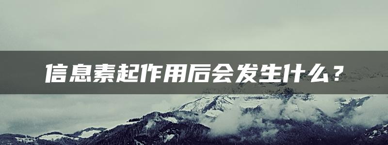 信息素起作用后会发生什么？