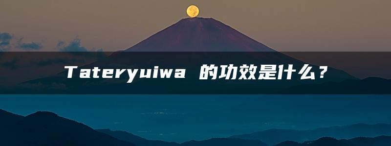 Tateryuiwa 的功效是什么？