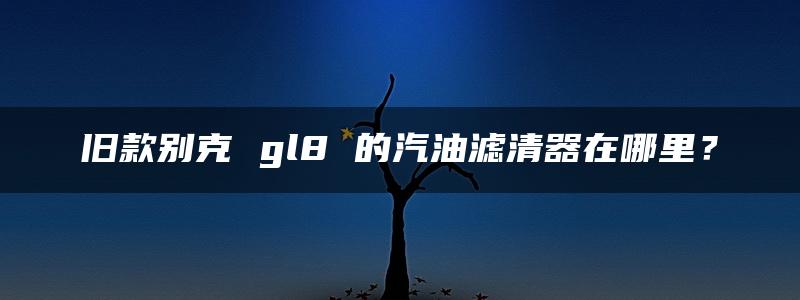 旧款别克 gl8 的汽油滤清器在哪里？