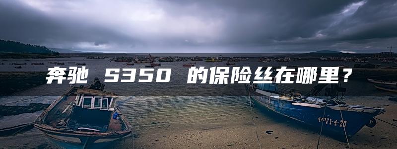 奔驰 S350 的保险丝在哪里？