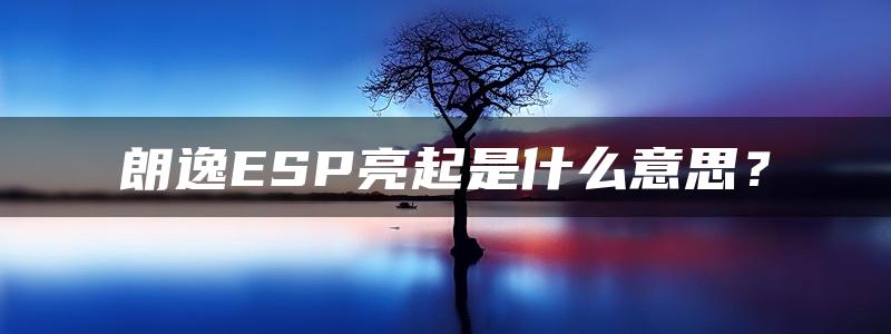 朗逸ESP亮起是什么意思？