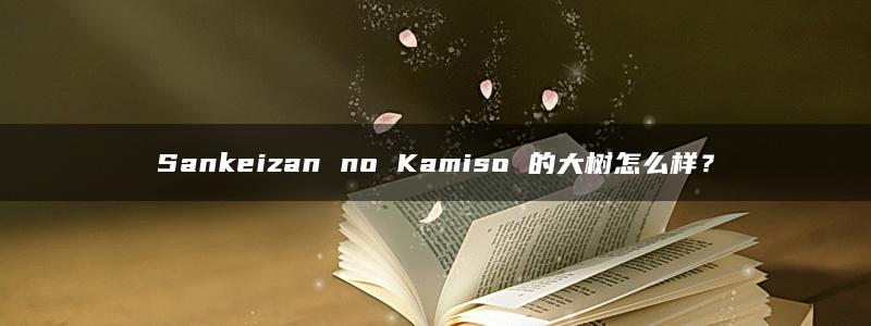 Sankeizan no Kamiso 的大树怎么样？