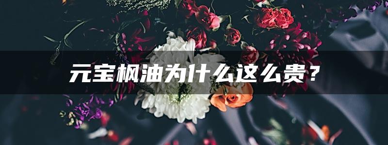 元宝枫油为什么这么贵？