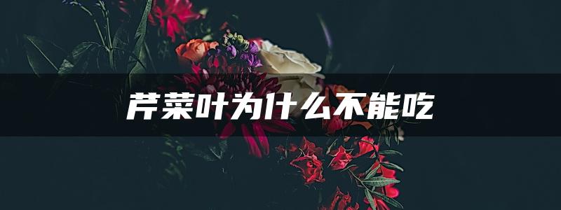 芹菜叶为什么不能吃