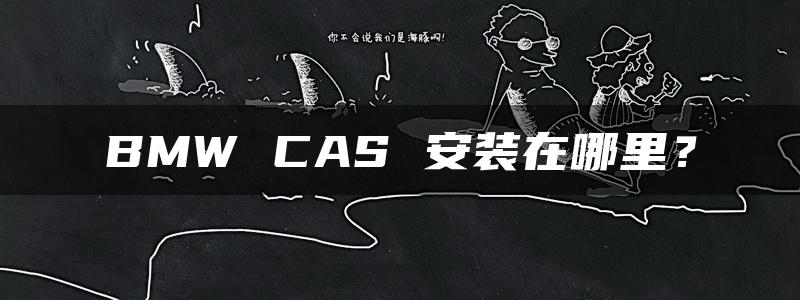 BMW CAS 安装在哪里？