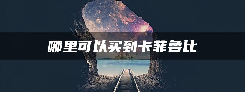 哪里可以买到卡菲鲁比