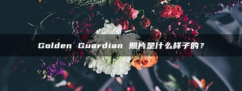 Golden Guardian 照片是什么样子的？