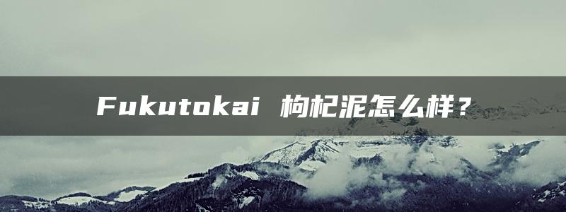 Fukutokai 枸杞泥怎么样？