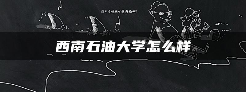 西南石油大学怎么样