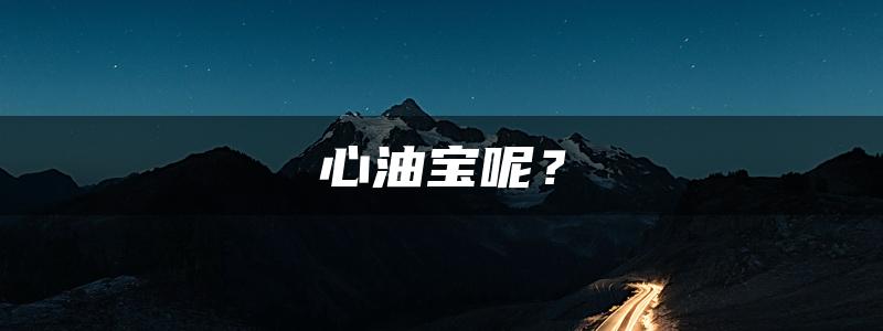 心油宝呢？