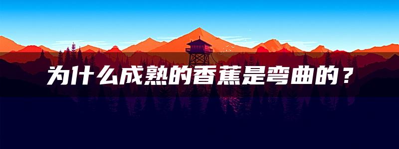 为什么成熟的香蕉是弯曲的？