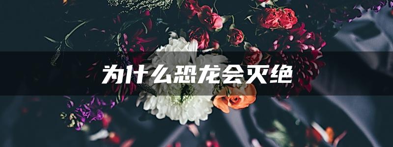 为什么恐龙会灭绝